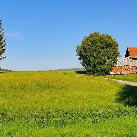 Feriendorf Hochbergle Haus 109 펜션 *